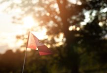 Apartment Hunting Red Flags Most People Don’t Notice Until It’s Too Late apartment hunting red flags