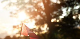 Apartment Hunting Red Flags Most People Don’t Notice Until It’s Too Late apartment hunting red flags